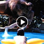 Pet lion attacks its owner