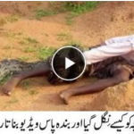 Boy Attacked by Snake as Photographers Watch